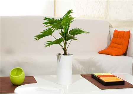 办公桌物件摆放风水 办公桌物件摆放风水