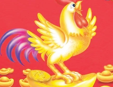 属鸡人怎么样增加财运