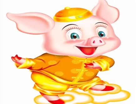属猪人怎么样增加财运