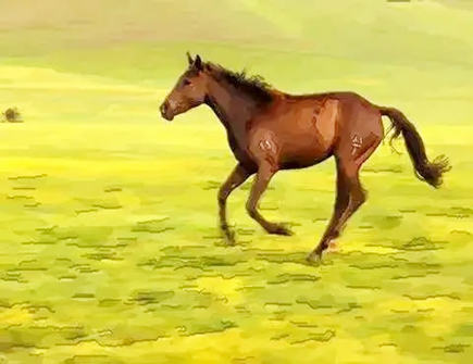 属马2022年适合佩戴什么 属马2022年适合佩戴什么