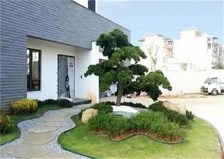 庭院种树的风水布局 庭院种树的风水布局g