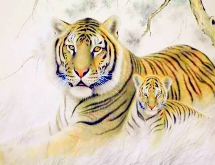 属虎人2022年忌讳什么颜色