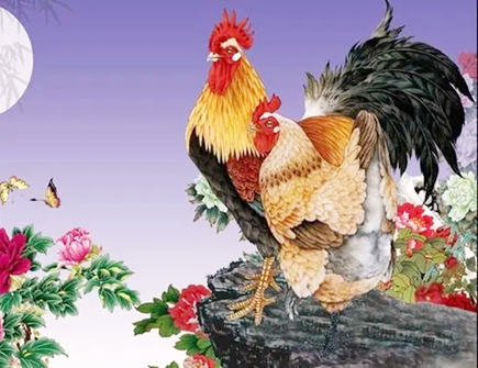 属鸡人2022年忌讳什么颜色 属鸡人2022年忌讳什么颜色