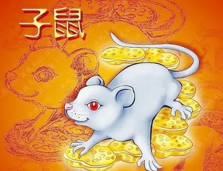 属鼠人本命年可以结婚吗