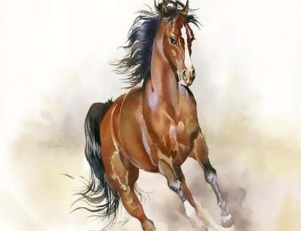 属马人本命年可以结婚吗