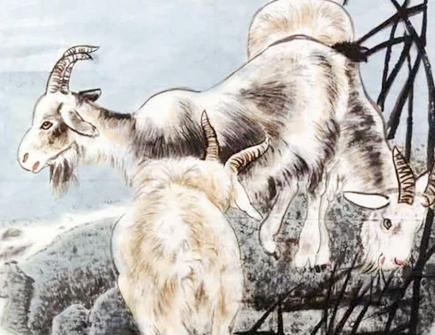 属羊人本命年可以结婚吗