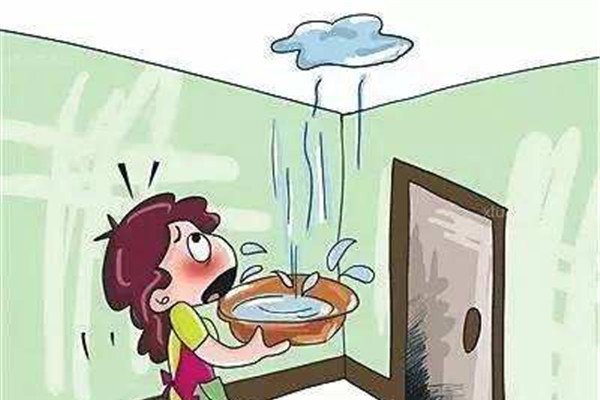 房子漏水对主人的影响