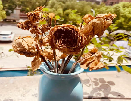 九种不祥之物千万不能放在家里