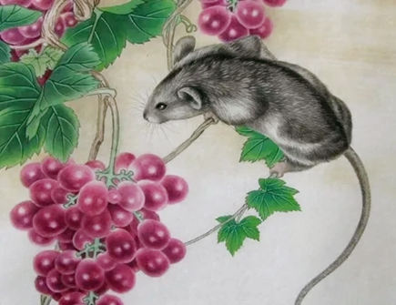 属鼠男人花心吗