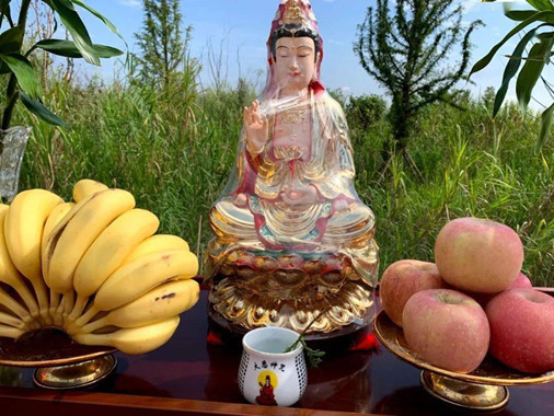 供品招财的水果 供品招财的水果