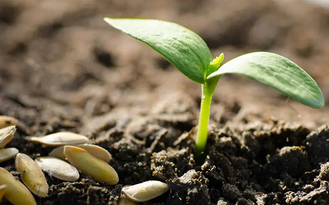 住宅风水真的有这么重要吗 住宅风水真的有这么重要吗