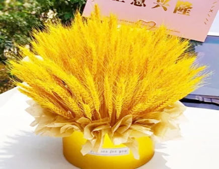 麦穗放家里什么位置好
