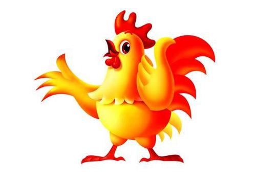 属鸡女与属鸡男相配吗