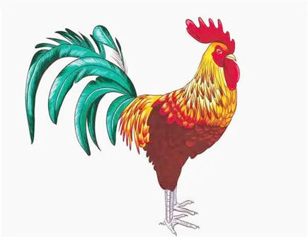 容易导致属鸡产生感情危机的生肖