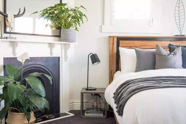 卧室养花的讲究