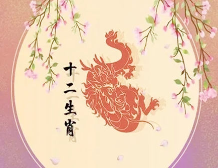 怎么追求属龙的女生