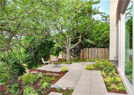 屋后种什么树最招财