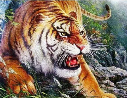 怎么追求属虎的男生