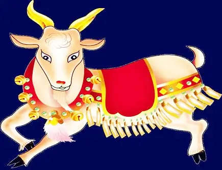 怎么追求属羊的男生 怎么追求属羊的男生