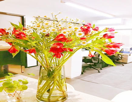 办公室放假花影响风水吗 办公室放假花影响风水吗