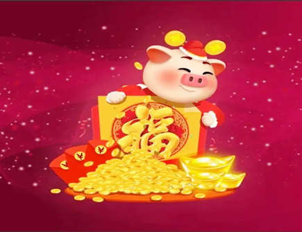 怎么追求属猪的男生