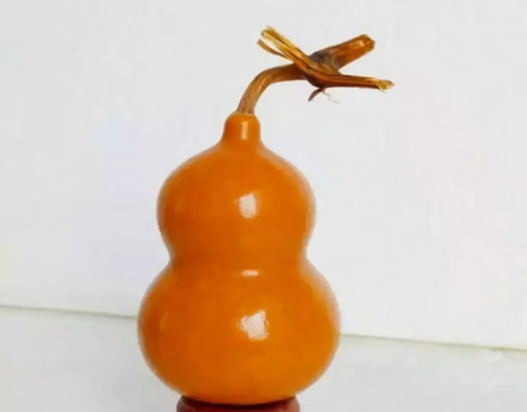 什么人不适合挂葫芦