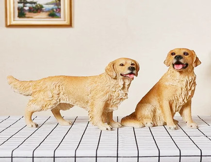 为什么说养两只狗风水不好