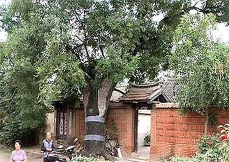 u=3774109816,3725665601&fm=253&fmt=auto&app=138&f=JPEG.jpg u=3774109816,3725665601&fm=253&fmt=auto&app=138&f=JPEG.jpg