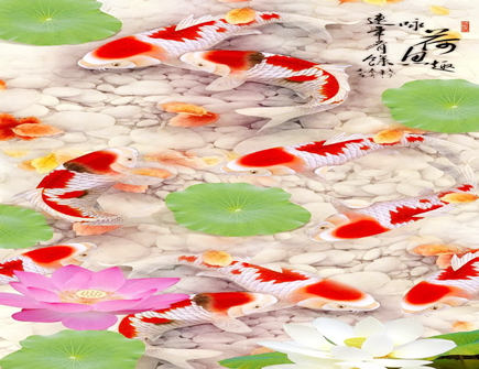 手机壁纸的风水讲究