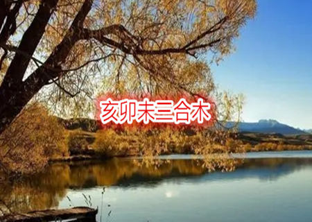 亥卯未三合木男命是好是坏? 亥卯未三合木男命是好是坏?