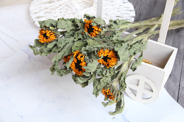 家里为什么不能摆放假花