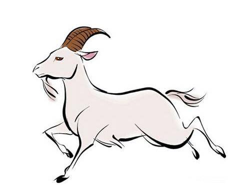 十二生肖最孝顺的属相