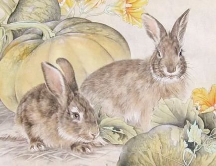 属兔男对工作的态度