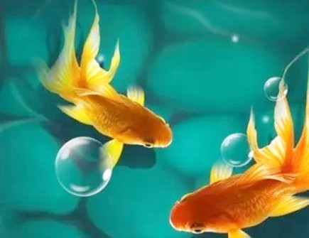 夫妻两个在一起不聚财怎么办