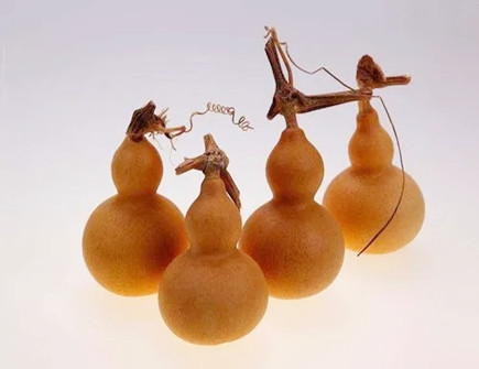 楼顶放什么摆件能镇宅进财