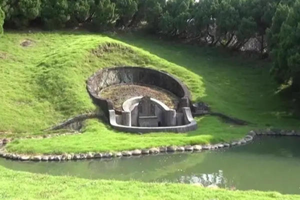 祖坟上长树对后代有什么影响