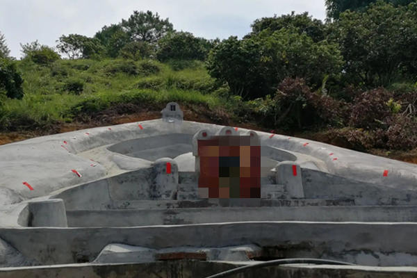 祖坟上长树对后代有什么影响