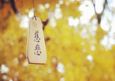 什么八字的人有善心