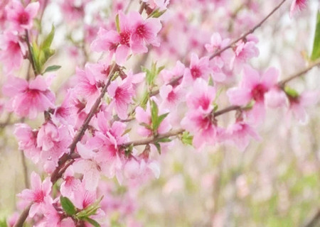 花心的男人八字特征