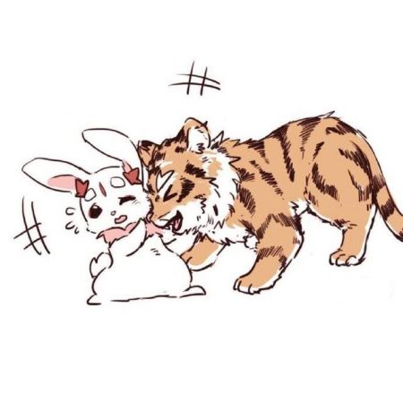 我的八字缺木家中挂老虎、兔子可以提升和弥补吗？