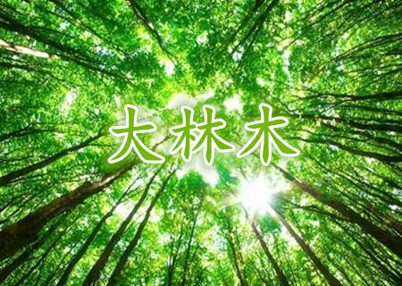 大林木命有哪些特点呢? 大林木命有哪些特点呢?