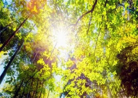 木火通明的男人特点有哪些？