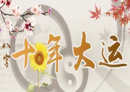 大运走得最好的八字