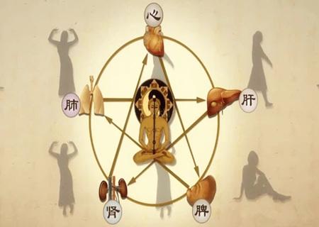 什么八字适合做中医？