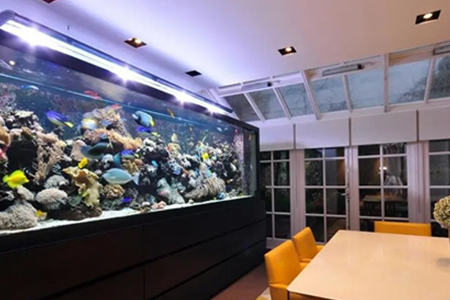 鱼缸摆放位置风水禁忌