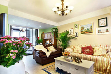 客厅风水植物有哪些