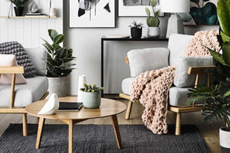 家居风水植物有哪些种类