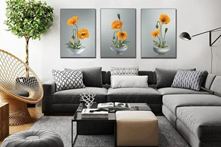 家中挂什么画风水好