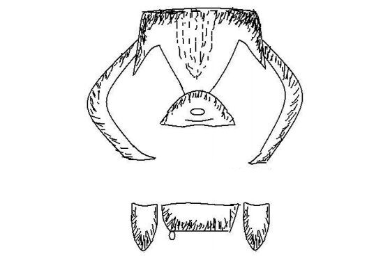 兄弟同科形峦断法