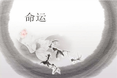 八字能算出人的寿命吗